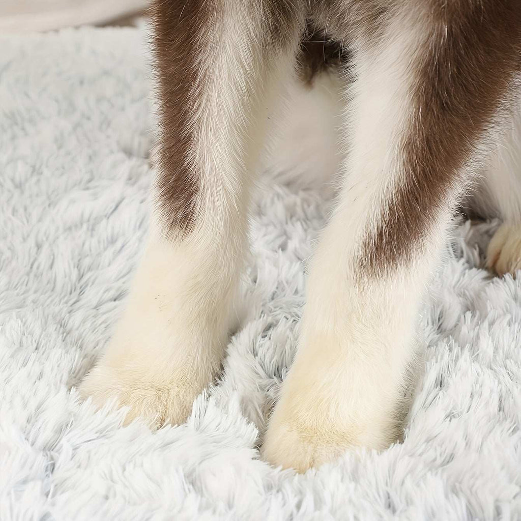 Close-up of dog paws on a plush rectangular dog bed with soft, fluffy surface