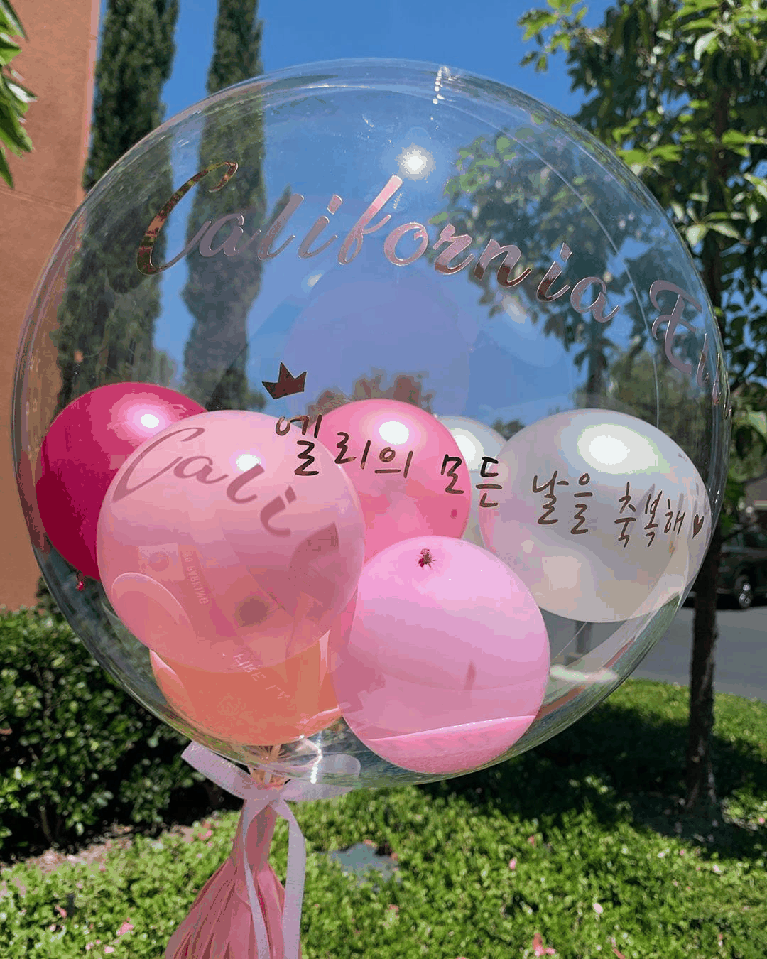 INS New Arrival transparent round balloon with pink and white balloons inside for birthday decoration