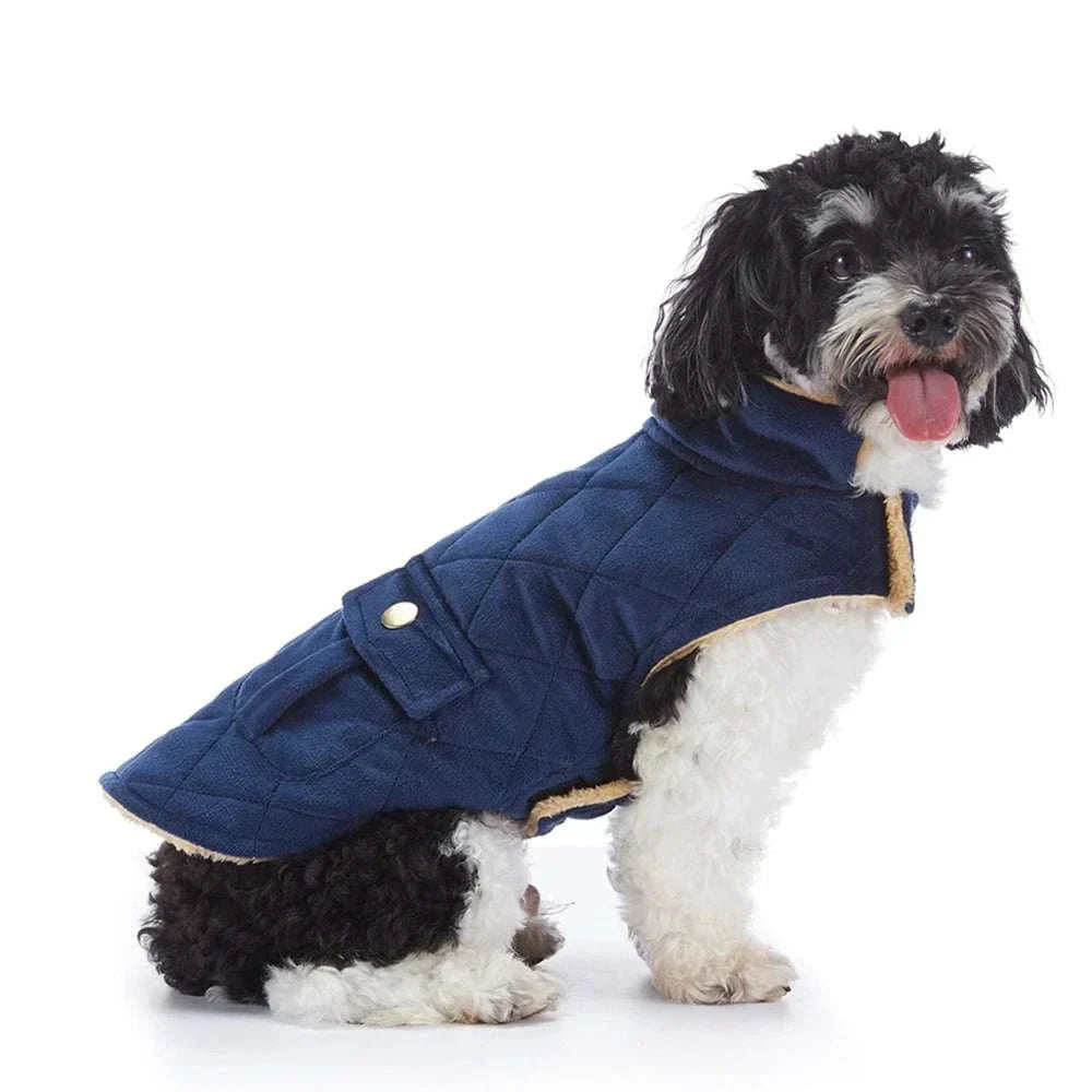 Small black and white dog wearing blue plush warm pet coat with quilted pattern and folded collar