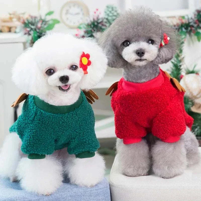 Two small dogs wearing red and green warm fleece Christmas pet clothes with festive decorations indoors