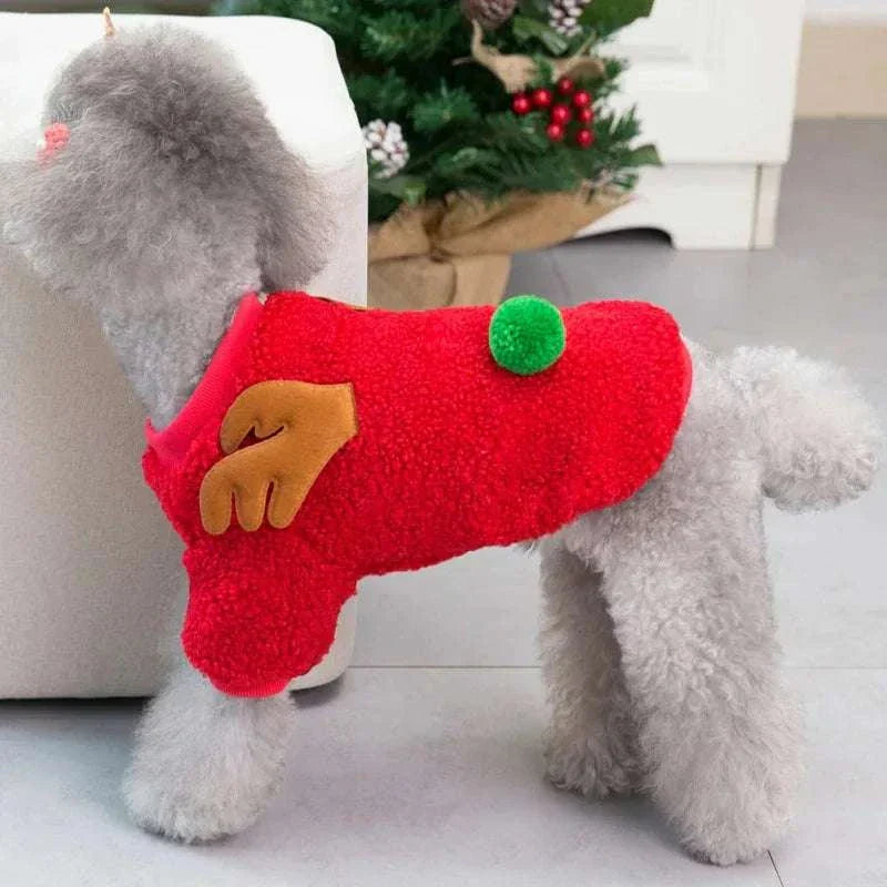 Small dog wearing red fleece Christmas pet clothes sweater with reindeer antler design and green pom-pom for winter