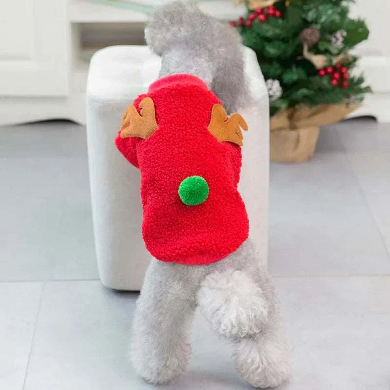 Small dog wearing red fleece Christmas pet clothes with reindeer antlers and green pom-pom tail decoration