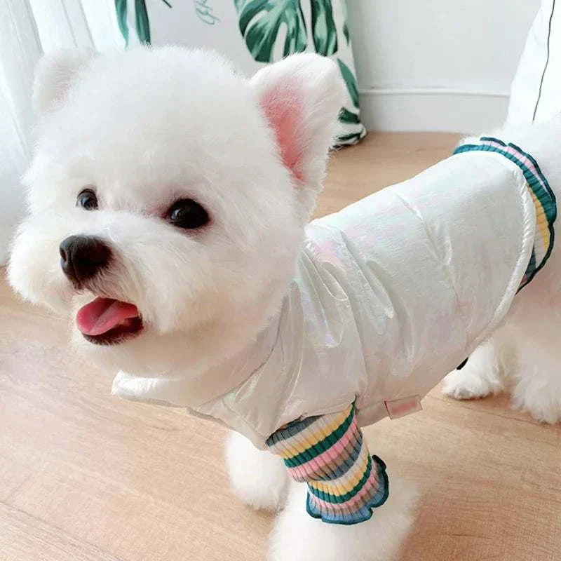 Small white dog wearing waterproof winter pet clothes jacket vest for small dogs