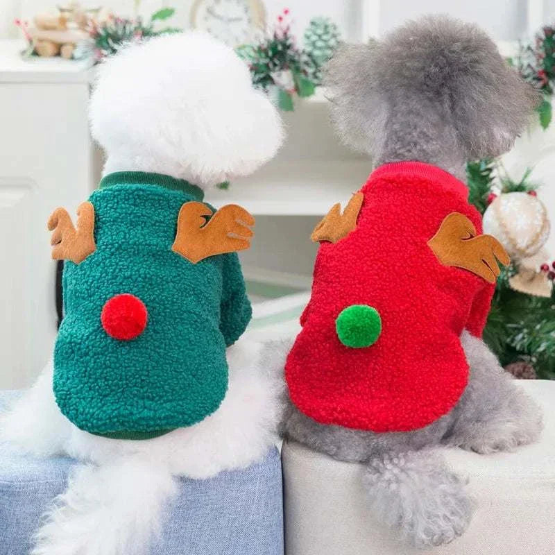 Two small dogs wearing Christmas pet clothes fleece sweaters with reindeer antlers and pom-poms in red and green colors