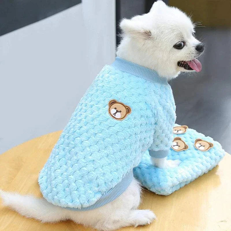 Small white dog wearing a light blue soft fleece sweater with bear patch sitting on wooden surface