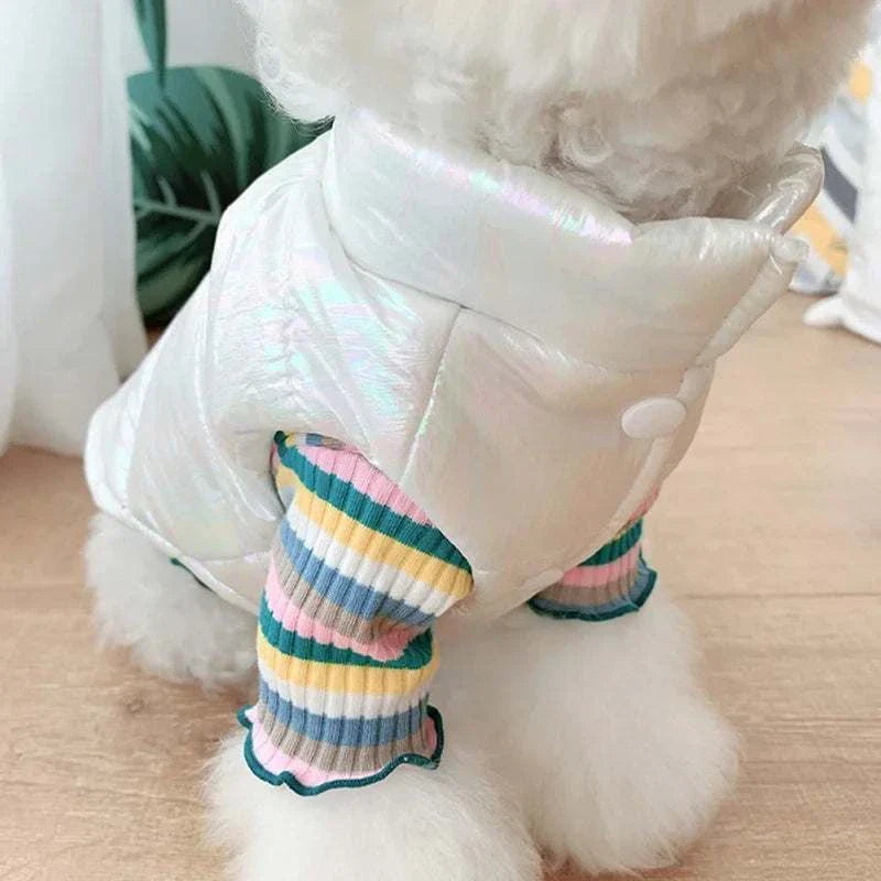 Small dog wearing white waterproof winter pet jacket vest for warmth and protection