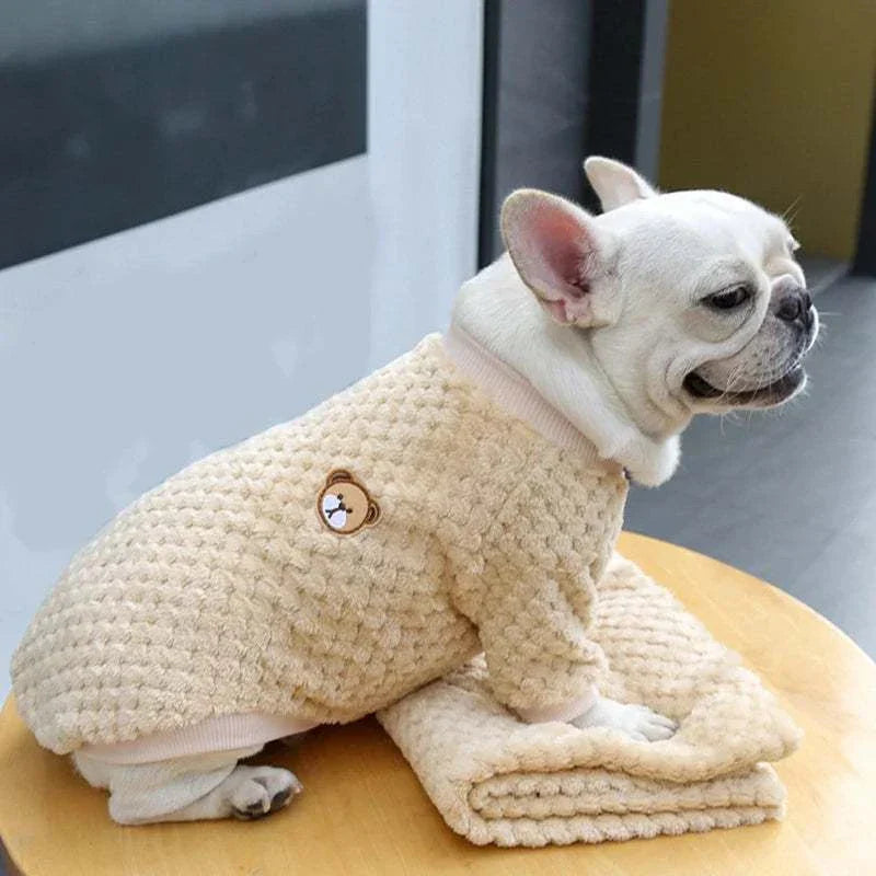 Small white dog wearing soft fleece warm beige pullover coat with bear patch sitting on table