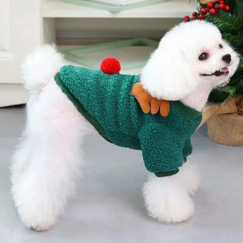 Small white dog wearing green fleece Christmas pet clothes with red pom-pom and reindeer antler design