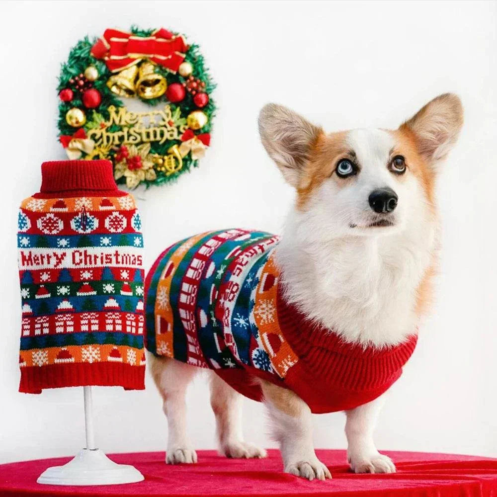 Small dog wearing colorful knitted Christmas sweater with Merry Christmas text and festive patterns next to holiday wreath and sweater display stand