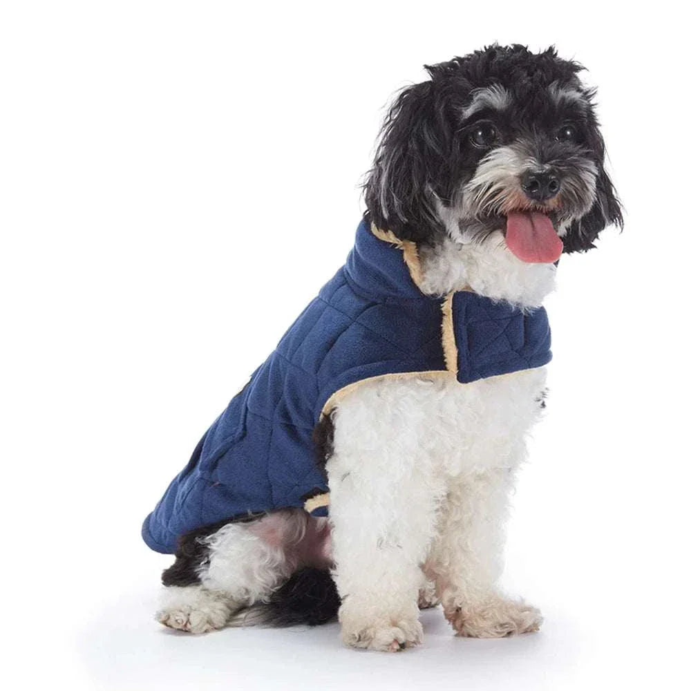 small dog wearing blue pet coat plush warm winter jacket with folded collar
