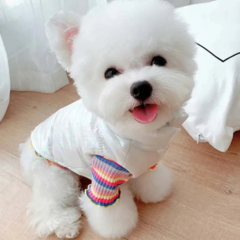 small white dog wearing waterproof winter pet clothes white jacket vest