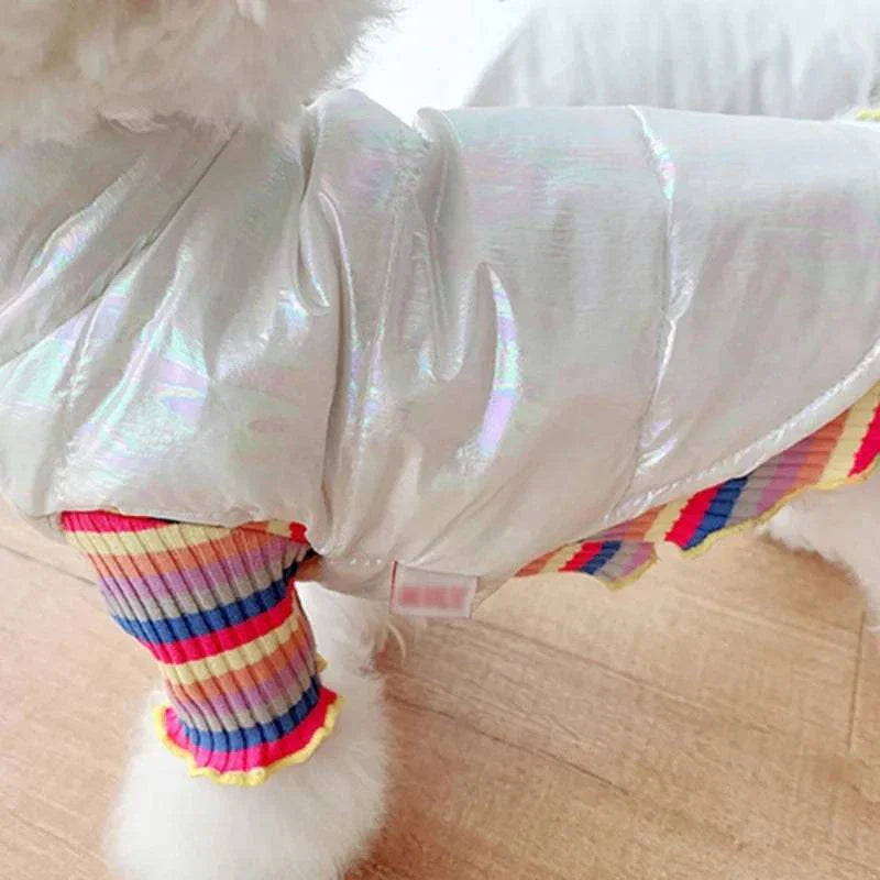 Small dog wearing shiny white waterproof winter pet clothes with colorful striped sleeves on wooden floor
