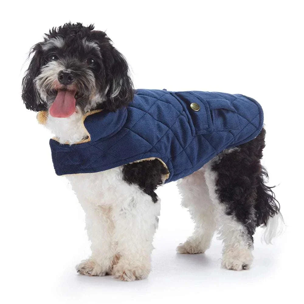 Small black and white dog wearing a blue plush warm pet coat with quilted design and folded collar