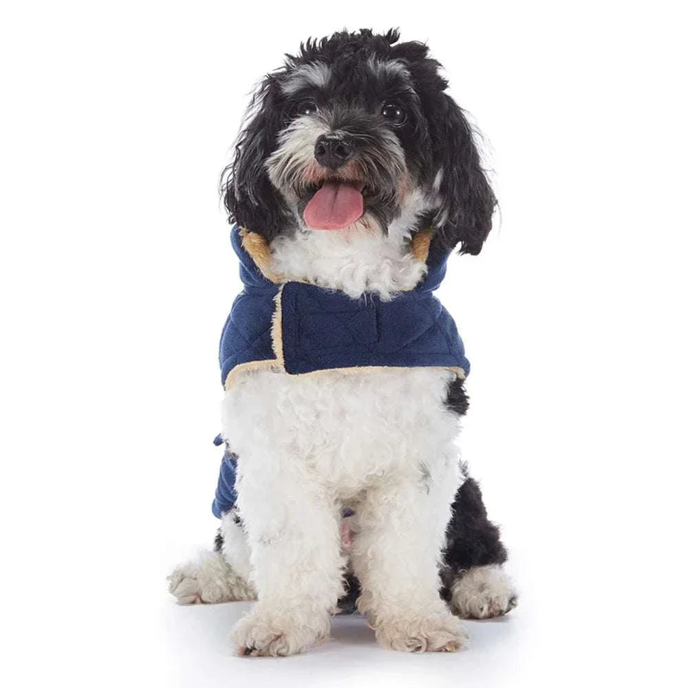 small dog wearing blue plush warm pet coat for autumn winter season