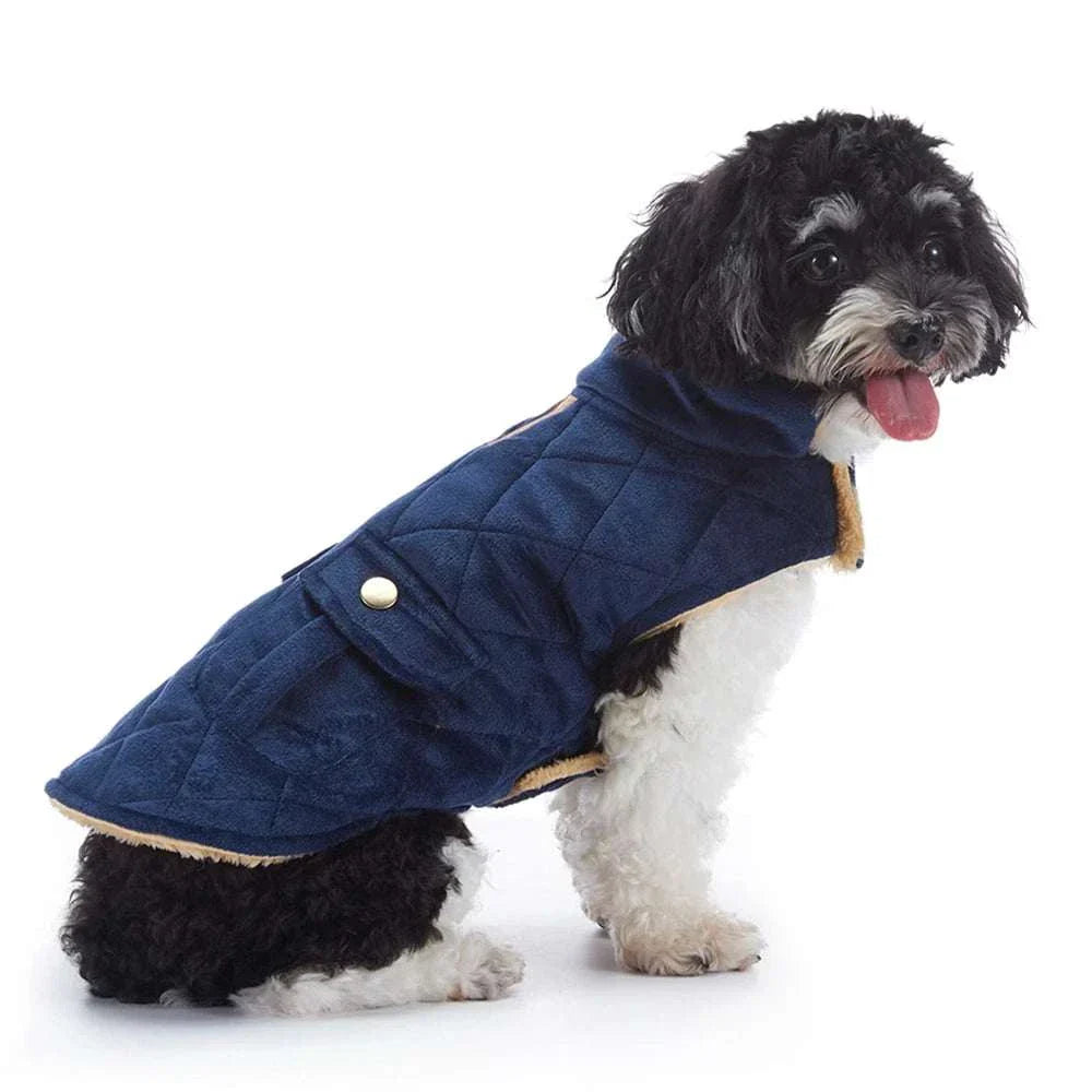 Small dog wearing a navy blue plush warm pet coat designed for autumn and winter with quilted pattern and folded collar.