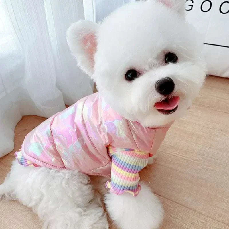 small white dog wearing pink waterproof winter pet clothes jacket vest on wooden floor