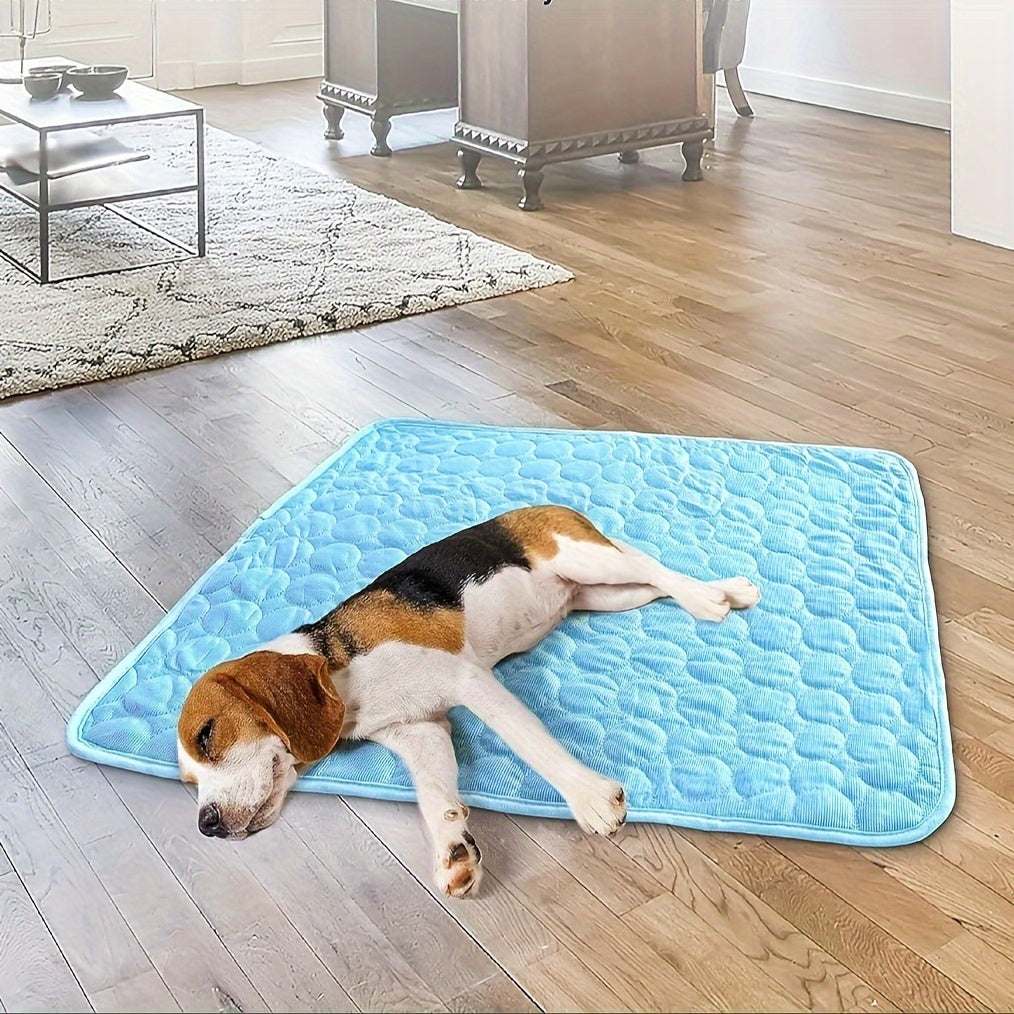 Dog lying on blue Summer Pet Ice Cushion on wooden floor in living room