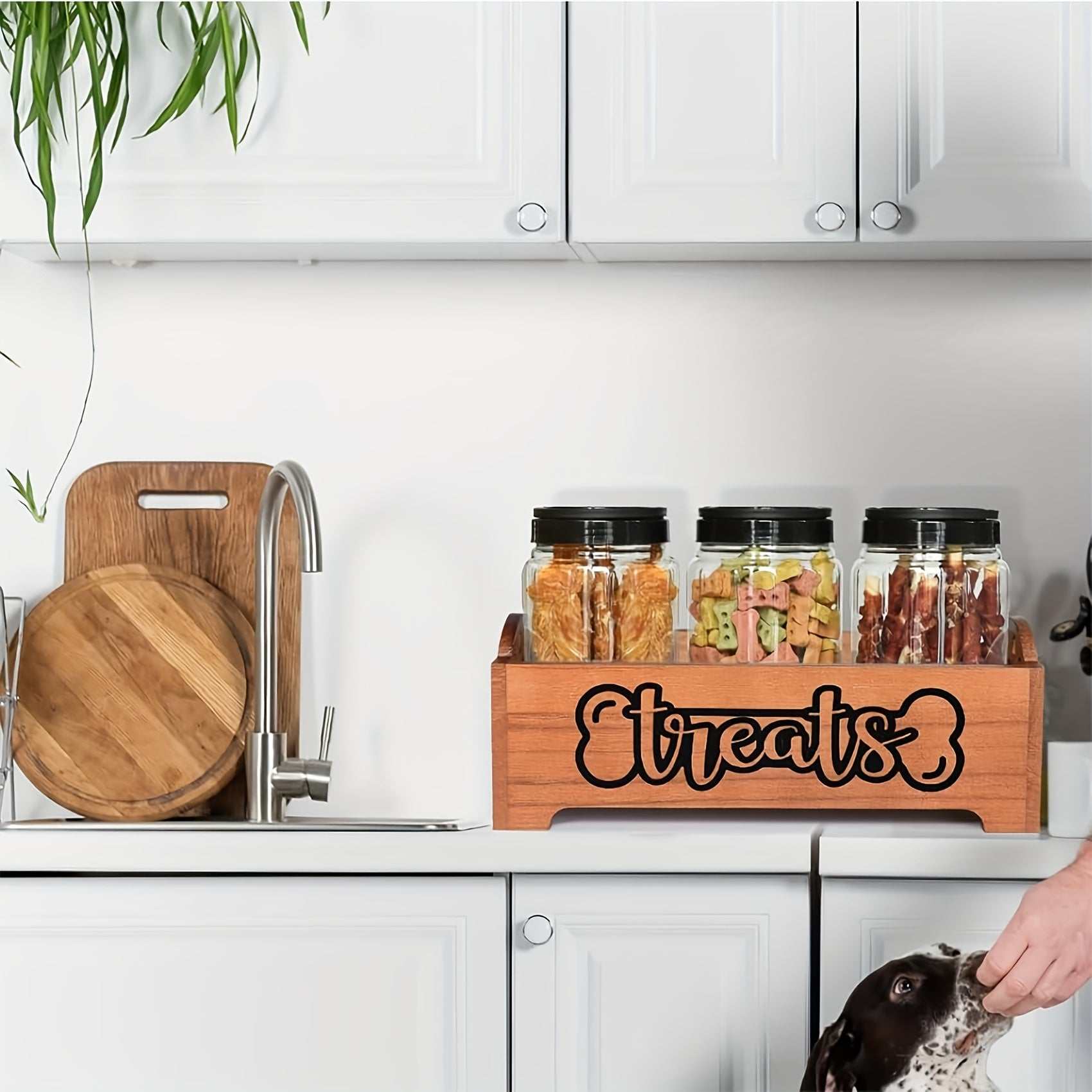 Wooden pet treat station with three plastic jars for dog and cat food storage on kitchen counter