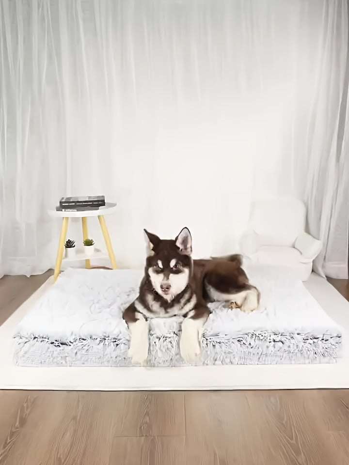 Plush rectangular dog bed with a large dog lying on it in a modern room setting